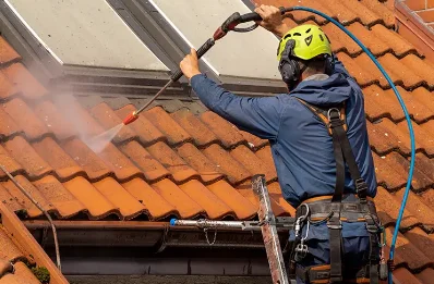Démoussage et hydrofuge de toiture à Millery